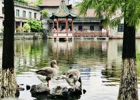 Keyuan Garden – En blomstrande oas mitt i Dongguans hektiska stad!