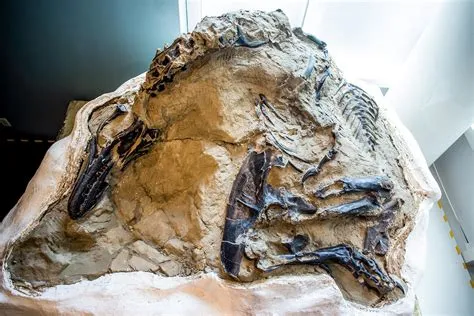 Zhangbaoshan Dinosaur Fossil Museum Enigmatic Remains and Thrilling Prehistoric Adventure!